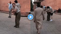 ‘Don’t Come To India! ताजमहाल पाहणे पडले महागात; साऊथ कोरियन महिलेला चावले माकड, Video होतोय Viral