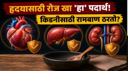 किडनी फेल होणार नाही? फक्त स्वयंपाकघरात असणारा ‘हा’ एक पदार्थ खा; लिव्हर खराब होणार नाही अन् हार्ट अटॅकचा धोका होईल कमी!