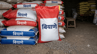 poor quality soybean seeds | cases filed against seed companies maharashtra | amravati maharashtra agriculture news | mahabeej seed issue marathi news