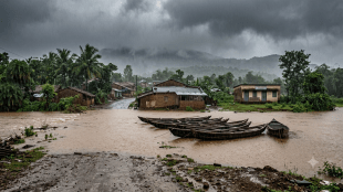palghar rain red alert update | palghar school college holiday news | maharashtra weather forecast today | palghar heavy rainfall imd alert