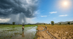 Indian Monsoon Climate Change Rain Irregularity Reasons: काही तासांत ढगफुटी तर कधी महिनाभर कडक ऊन! महाराष्ट्रातील पावसाची ही भयानक अनियमितता नेमकी का वाढतेय?