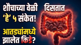 Warning signs of intestinal worms and unhealthy gut health during bowel movements