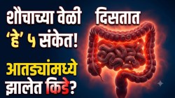 शौचाच्या वेळी दिसतात ‘हे’ ५ संकेत; आतड्यांमध्ये झालेत किडे? आतड्यांना पिळवटून खराब करतात आरोग्य, वेळीच ओळखा लक्षणे, नाहीतर…