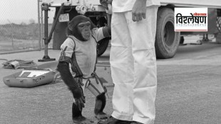 Ham Chimpanzee Space History
