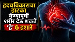 हार्ट अटॅक येण्याच्या १४ दिवस आधी शरीर देतं ६ इशारे; अजिबात दुर्लक्ष न करता ‘हे’ बदल आणि संकेत ओळखा, पण प्रत्येक व्यक्तीत…