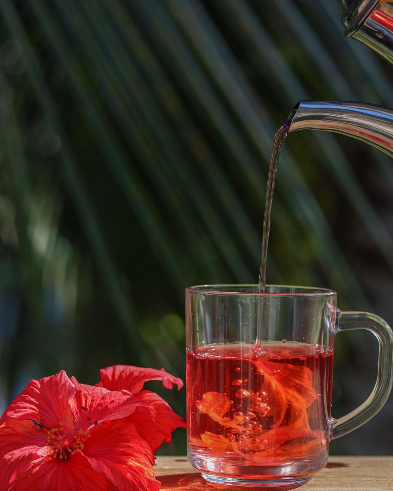 Hibiscus Tea Health Benefits