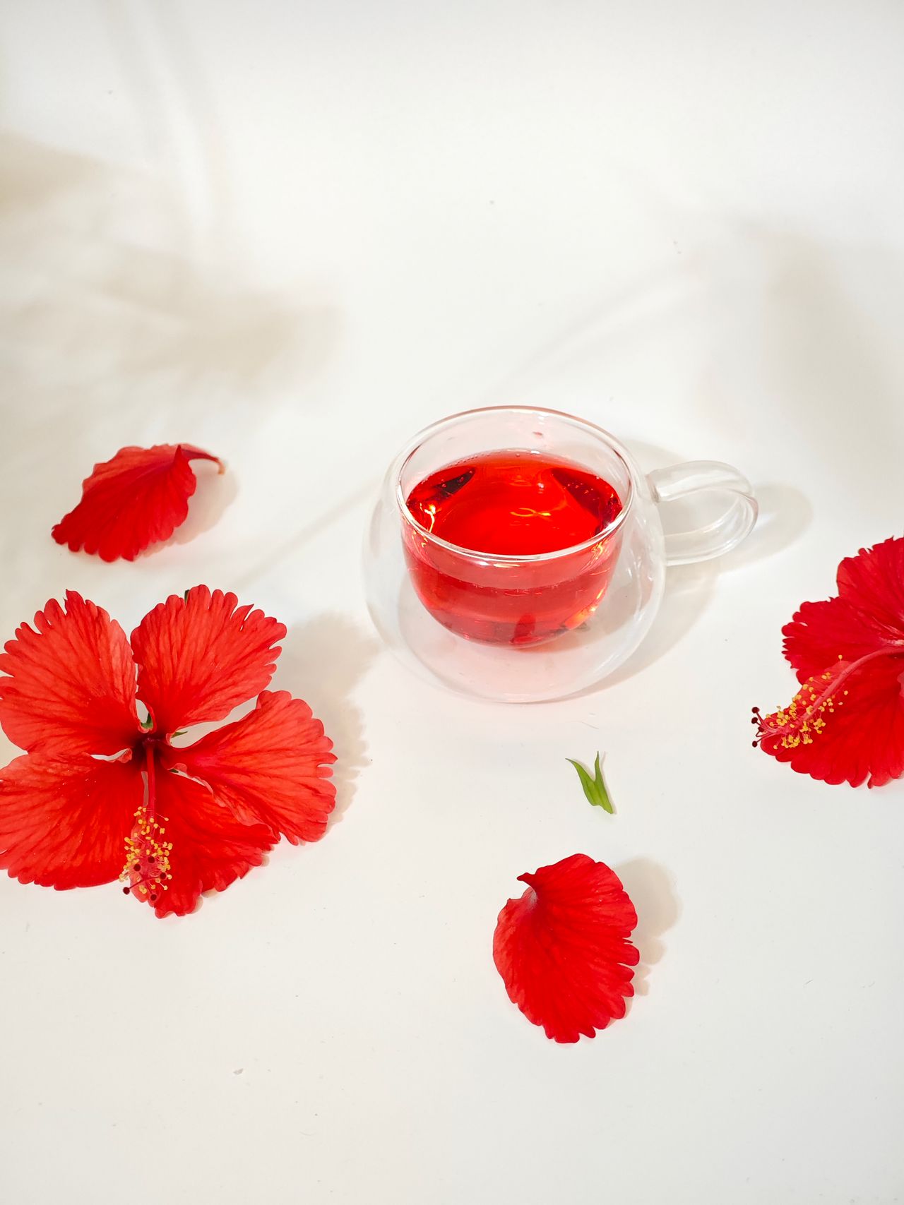 Hibiscus Tea Health Benefits