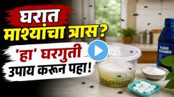 पावसाळ्यात घरात एकही माशी दिसणार नाही; एकदा हा सोपा घरगुती उपाय करा, कायमचं टेन्शन मिटणार! पैसेही वाचतील, पाहा Video