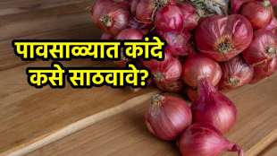 how to store onions for a long time