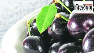Jambhuls Honey Benefits