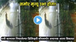 ‘समोर मृत्यू उभा होता’… रात्री डिलिव्हरीसाठी निघाला, अचानक समोर आला बिबट्या; पुढच्या काही सेकंदांत जे घडलं, VIDEO पाहून अंगावर येईल काटा