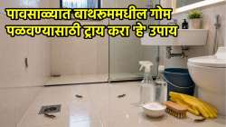 पावसाळ्यात बाथरूममध्ये सतत गोम येतेय? करा ‘हे’ ५ सोपे घरगुती उपाय, पुन्हा कधीच दिसणार नाही!