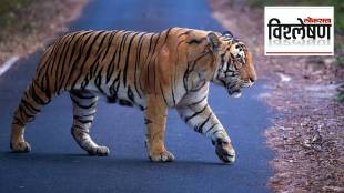 Tiger Reserves in India