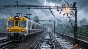 Mumbai rain local train delay updates | Central railway harbor line disrupted | Borivali railway station monkey issue | Mumbai monsoon waterlogging train traffic status