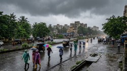 चेंबूरमधील शाळेच्या प्रवेशद्वारावर कोसळले झाड