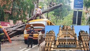 Mumbai BMC Standing Committee meeting | Chembur school bus tree collapse incident | Mumbai Municipal Corporation negligence probe | Tree falling accident student death Mumbai