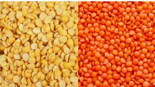 Atmanirbhar Pulses Mission India | Agriculture Minister Shivraj Singh Chouhan Dal Production | India Pulses Import Export Budget 2026 | Pulse Cultivation Farming Challenges Maharashtra