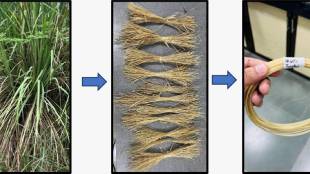 IIT Bombay eco friendly plastic research | Wild grass Munja Durva plastic composite | Prof Aparna Singh IIT Bombay | 3D printing sustainable materials Maharashtra