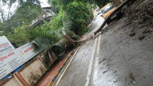Chembur school tree collapse incident | Mumbai monsoon tree falling updates | BMC tree trimming complaints Mumbai | School student safety issues Mumbai rain