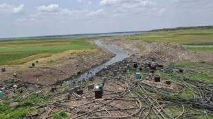 Ujani dam dry water level updates | Ashadhi wari water release schedule 2026 | Indapur Solapur water crisis news | Maharashtra irrigation department Ujani dam storage
