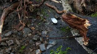 Goregaon Aarey colony tree branch falls bike accident | Kumar Hasan Raza Jahangir Alam Sayyad death Mumbai rain | BMC pre monsoon tree trimming failure controversy | Mumbai tree fall accidental deaths monsoon updates