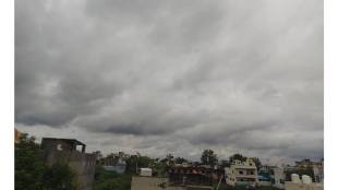 akola rain deficit update today | maharashtra weather forecast news | imd rain alert akola vidarbha | akola district rainfall statistics loksatta