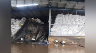 Raigad floods salt pans damage Pen | Maharashtra rain fury crop loss Alibaug | Pen kharepat area flood situation | Raigad heavy rainfall infrastructure damage 2026