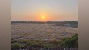 mira road 318 acre land dispute case thane | revenue minister chandrashekhar bawankule order | mira salt real estate developers land class 2 | mira bhayandar municipal corporation illegal land filling royalty scam