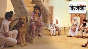 Satluj Punjab Dogs Killing