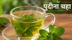 Pudina Chai benefits