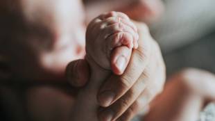 Mumbai High Court ruling on Maternity Benefits Act | Bombay High Court Justice Girish Kulkarni | Maternity leaves contract teachers college dispute | Women employee rights labor laws India 2026