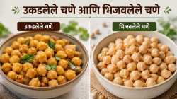 चणे उकडून खावेत की भिजवून? जाणून घ्या कोणता पर्याय आरोग्यासाठी सर्वात फायदेशीर