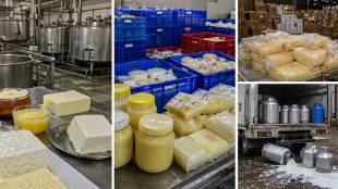 Parsi Dairy Farm Mumbai license suspended | FDA raid Marine Lines Palghar Parsi Dairy | Adulterated milk seized Goregaon Govindi Mulund | Food Safety Maharashtra FDA action dairy products