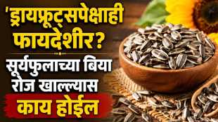 Sunflower seeds are a boon for the heart, brain, skin, and hair