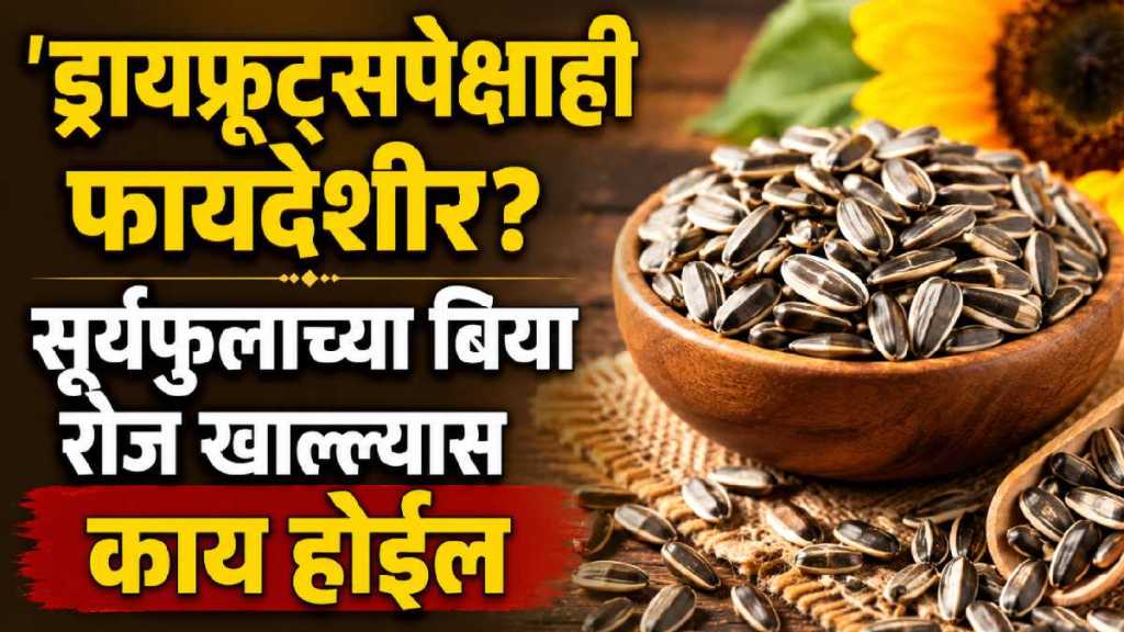 Sunflower seeds are a boon for the heart, brain, skin, and hair Sunflower seeds are a boon for the heart, brain, skin, and hair