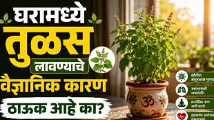 Tulsi scientific perspective