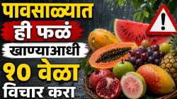 पावसाळ्यात ‘या’ फळांमध्ये सर्वाधिक कीड! खरेदी करण्यापूर्वी एकदा नक्की वाचा