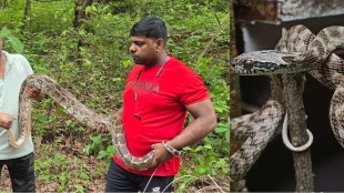 Mumbai wildlife rescue team python | Indian rock python saved in Mumbai | Forest department wildlife conservation Maharashtra | Monsoon snake rescue operation Mumbai