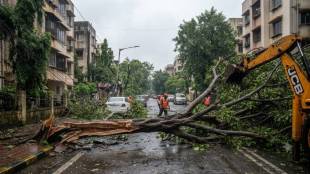 Massive tree collapse Mumbai monsoon | Mumbai rain tree fall casualty | Road block due to tree fall in Mumbai | BMC emergency response tree collapse Mumbai