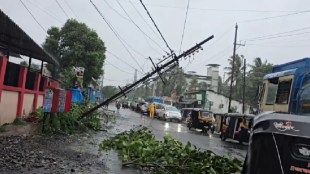virar tree collapse news | chandan sar virar east rain update | palghar heavy rain updates | mSEDCL power outage virar east