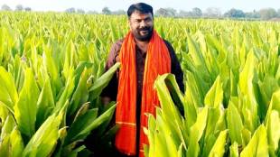Hingoli turmeric research gamma rays | Balasaheb Thackeray Haridra center Hingoli | Maharashtra turmeric crop yield improvement | Marathi agriculture news updates