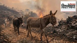 Spain Wildfires Donkeys Firefighters