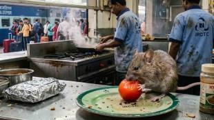 Thane Railway Station Canteen Rats
