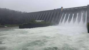 koyna dam gates opened 2026 | koyna dam water discharge status | satara rain news live | krishna river flood alert karad