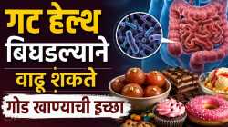 गोड खाण्याची क्रेविंग वाढतेय? दुर्लक्षित करू नका गट मायक्रोबायोमचे ‘हे’ संकेत