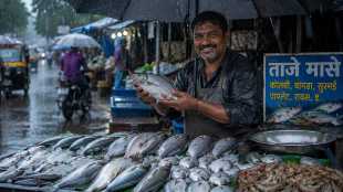 eating fish during the monsoon