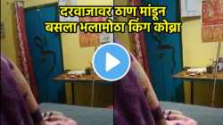 बापरे! दरवाजावर ठाण मांडून बसला भलामोठा किंग कोब्रा, कुटुंबाने अशी काढली संपूर्ण रात्र! थरारक VIDEO VIRAL