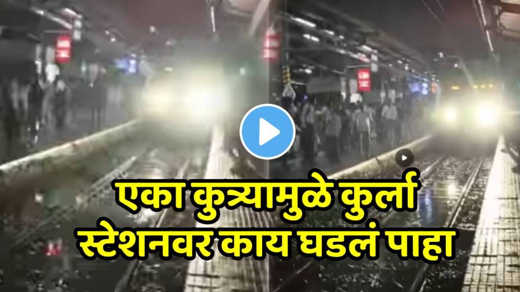 Loco Pilot Halts Local Train To Save Stray Dog Loco Pilot Halts Local Train To Save Stray Dog