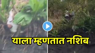 Lonavala Viral Video: Youth Falls Into Valley During Trek, Gets Stuck On Tree And Is Rescued Amid Heavy Rains In Pune