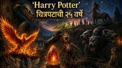 Harry Potter 25th anniversary: ‘Harry Potter’ची २५ वर्षे – ‘नगिनी’ भारतीय, तर Fluffy ग्रीक पुराणातील? हॅरी पॉटरच्या जादूमागील प्राचीन मिथके नेमकी आहेत तरी काय?